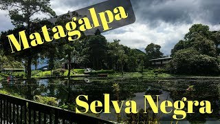 Trip to Matagalpa amp Selva Negra  Nicaragua [upl. by Akeihsat184]