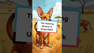 The Yodeling Basenji A Unique Bark [upl. by Thier]