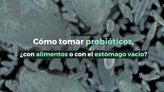 Cómo tomar probióticos ¿con alimentos o con el estómago vacío [upl. by Yrrad443]