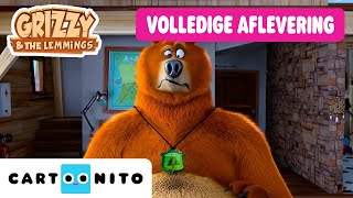 Grizzyacademie  Grizzy en de Lemmings  VOLLEDIGE AFLEVERING  CartoonitoNL [upl. by Skurnik813]