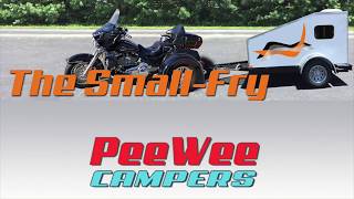 The Small Fry Camper from PeeWee Campers [upl. by Meibers]