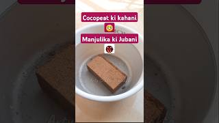 Cocopeat brick कैसे use करे shortvideo artycraftyprajakta trending shorts meredholna3 cocopeat [upl. by Armahs381]