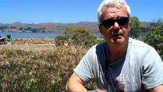 Doran Beach Campground  Bodega Bay CA  Review [upl. by Nytsua]