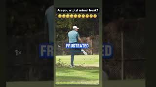 for Golfers or Bird Hunters⛳️🦅🤣 golf theartofsimplegolf golftour golfswing happygolfing [upl. by Nodrog277]