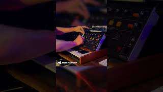 Friday Night Behringer Poly D Jam  Synth Heaven 🎹🎶 Music Production [upl. by Previdi]