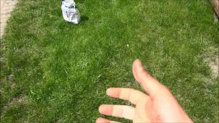 How To Spread Grass Seed With Your Hand No Tools Needed [upl. by Yelsna]