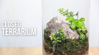 How To Make a Closed Terrarium in a Jar [upl. by Arima]