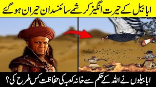 Hidden Facts About Ababeel Bird in UrduHindi [upl. by Alves]