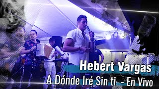 Hebert Vargas  A Donde Iré Sin Ti  En Vivo [upl. by Heyes270]