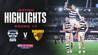 Geelong Cats v Hawthorn Highlights  Round 17 2024  AFL [upl. by Sum547]