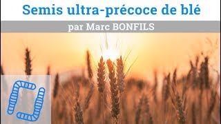 Semis ultraprécoce de blé  Marc BONFILS [upl. by Eetsud]