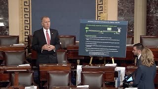 Senator Tillis Discusses Immigration Reform on Senate Floor [upl. by Mccullough]