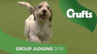 Hound Group Judging And Presentation  Crufts 2019 [upl. by Tnomel]