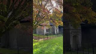 Autumn at Stourhead 🍂 autumn autumndays stourhead england autumnwalk wiltshire [upl. by Oremoh]