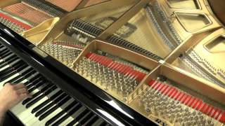 Kawai RX1 Piano Demo  Jim Laabs Music 8006575125 [upl. by Acinot]