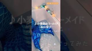 小麦色のマーメイド松田聖子 cover 人魚 mermaid 歌ってみた 昭和歌謡 seiko 松田聖子 懐メロ お風呂 水の音 jpop 인어 [upl. by Delcina]