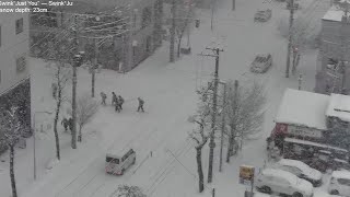 Heavy snowfall in Sapporo lofi radio 12 hours  January 7 2024 [upl. by Unity]