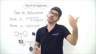 X da Questão Biologia Heredogramas Caso do Albinismo Parte 2 [upl. by Eidlog]