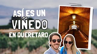 🍇ASÍ ES UNO DE LOS VIÑEDOS MÁS FAMOSOS DE QUERÉTARO 🥂Vlog parte 2 [upl. by Anoel]