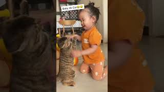 cat catvideos yourcat funnycats [upl. by Aneala]