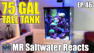 75 Gallon TALL Saltwater Tank  Mr Saltwater Reacts [upl. by Enorahs771]