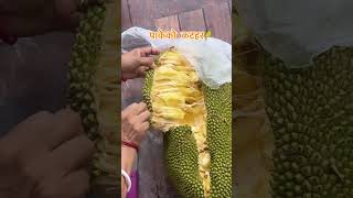 Favorite Fruit During Summer 🙌 Kata Khane  Nepali Food  Food Nepal  Nepali Food Vlogs 🔥 [upl. by Collier695]