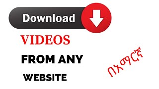 How to Download Any Video From Any Website On PC [upl. by Buxton]