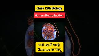 Human Reproduction Class 12 Biology Reproduction in human ncert neet class12th [upl. by Elden]