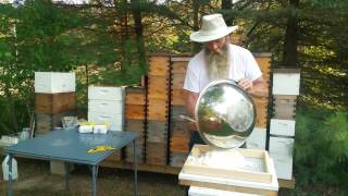 How to Prepare Your Bees for Winter  Candy boards and Preparing your Hive [upl. by Gerson]