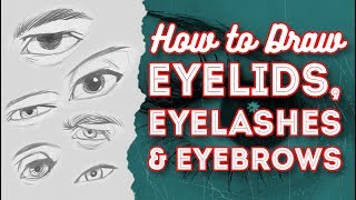 How to Draw the Eyelids Eyelashes and Eyebrows [upl. by Ecirahc]