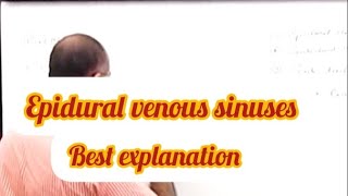 Epidural venous sinuses anatomy medical mbbs bds trending viralvideo [upl. by Eelaras]