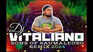 DJ VITALIANO X Tofaga Meke ft Uso Mikey  o ai na ole matagi REMIX 2024 [upl. by Macpherson]