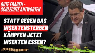 Statt gegen das Insektensterben zu kämpfen jetzt Insekten essen Gute Fragen Schlechte Antworten [upl. by Nwahsyd]