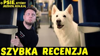 O psie który jeździł koleją ★SzybkieRecenzje [upl. by Alil]