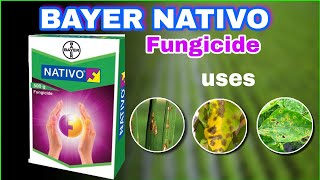 Bayer NATIVO fungicide  Systemic Fungicide  Tamil [upl. by Lorilee]