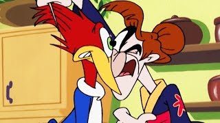 Woody Woodpecker  Crouching Meany Hidden Woodpecker  Full Episode  Kids Movies [upl. by Ytok782]