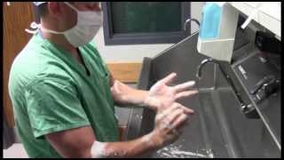 Bunion Surgery Tailors Bunion Video [upl. by Adhern115]