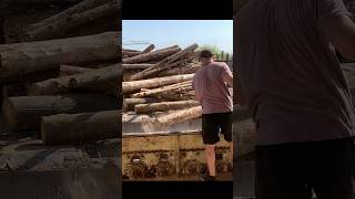 ⚙️ Incredible Wood Chipping in Advanced Woodworking from Logs ♻️ [upl. by Mauve]