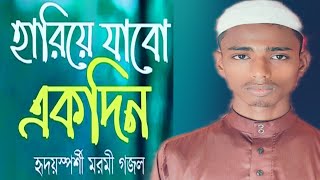 হৃদয়স্পর্শী মরমি গজল hariye jabo ekdin হারিয়ে যাবো একদিন [upl. by Anilag]