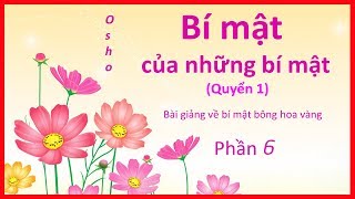 Zorba Phật  Bí mật của nhũng bí mật  p6  Bài giảng về bí mật của bông hoa vàng [upl. by Vas32]