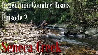 WBD  Fly Fishing Expedition Country Roads Episode 2 Seneca Creek WV Euro Nymphing Dry Dropper [upl. by Naanac]