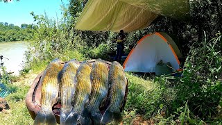 ACAMPAMENTO PESCARIA DE PIAU PEIXE FRITO NO DISCO DE ARADO [upl. by Mccoy]