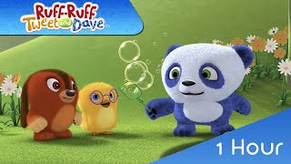 🐶🐼🐤 RUFFRUFF TWEET AND DAVE 1 Hour  4348  VIDEOS and CARTOONS FOR KIDS [upl. by Ssac]