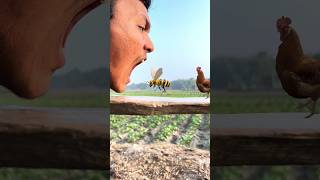 Bee chickens amp the goat in my mouth 👄 funny vfx magic video 😀🥰 ytshorts viral funny [upl. by Enial307]