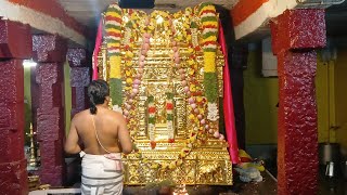 Srirangam  SriSriLakshmiPathiTheertharu AradhanaMahotsav 13112024 [upl. by Oilerua]