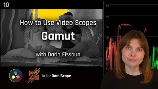 10  Gamut  How to Use Video Scopes [upl. by Krell]