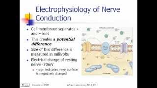 Pharmacology part 1 [upl. by Thain]