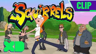 Candace Gets Squirrels in her Pants 🐿  Phineas and Ferb  Full Scene  disneyxd​ [upl. by Aranat]