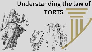 The Ultimate Cheat Sheet For Understanding Law Of Torts Quickly [upl. by Cott]