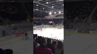 Toronto Marlies Game Action🇨🇦🤣🔥🏒💙😃 [upl. by Ayalat]